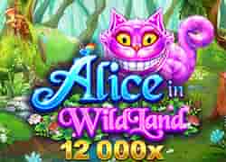 Alice In Wildland