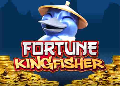 Fortune Kingfisher