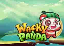 Wacky Panda