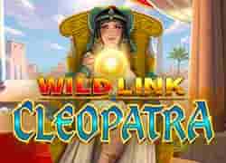 Wild Link Cleopatra