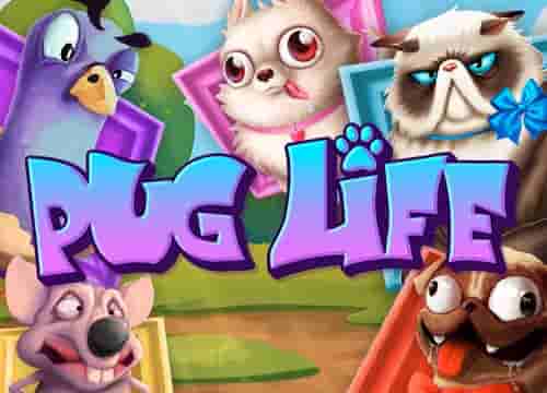 Pug Life