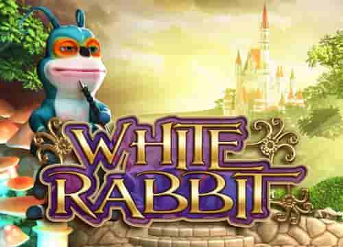 White Rabbit