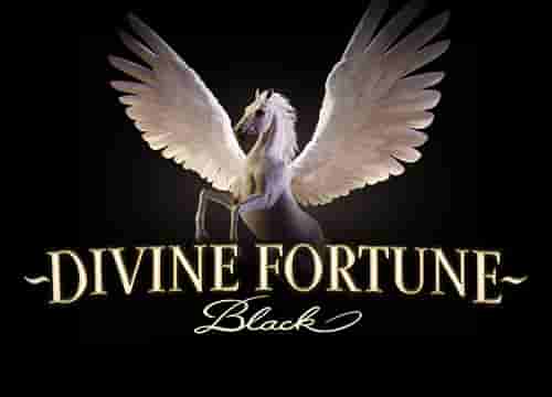 Divine Fortune Black