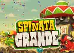 Spinata Grande