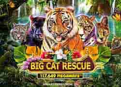 Big Cat Rescue Megaways