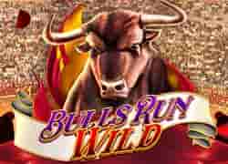 Bulls Run Wild