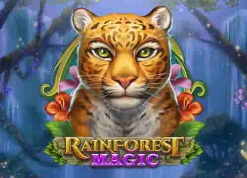 Rainforest Magic