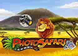 Photo Safari
