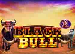 Black Bull