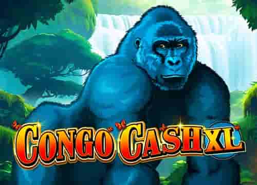Congo Cash XL