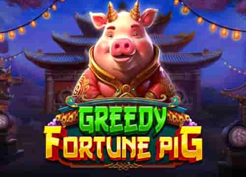 Greedy Fortune Pig