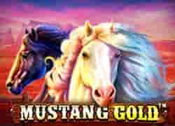Mustang Gold