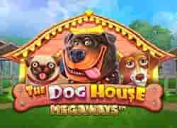 The Dog House Megaways