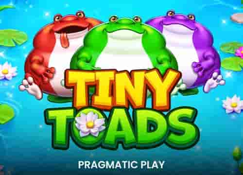 Tiny Toads