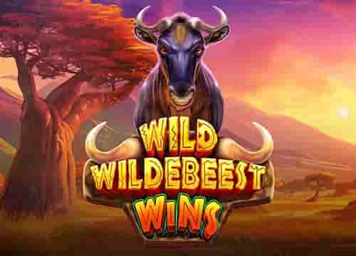 Wild Wildebeest Wins