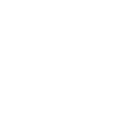 Interac