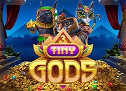 3 Tiny Gods