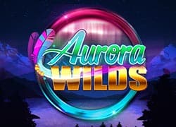 Aurora Wilds