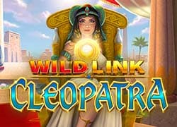 Wild Link Cleopatra