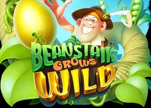 Beanstalk Grows Wild