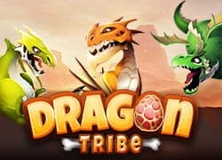 Dragon Tribe