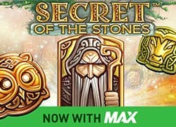 Secret of the Stones