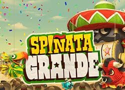 Spinata Grande