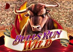 Bulls Run Wild