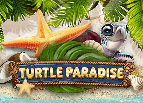 Turtle Paradise