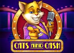 Cats And Cash