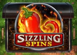 Sizzling Spins