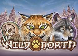Wild North