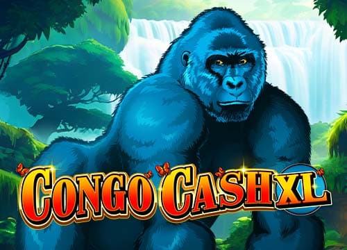 Congo Cash XL
